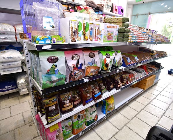 זאב חנות חיות בשדות אור יהודה6